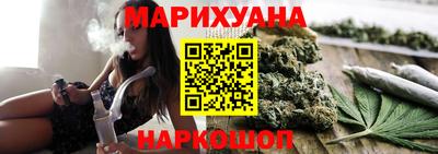 сатива Малгобек