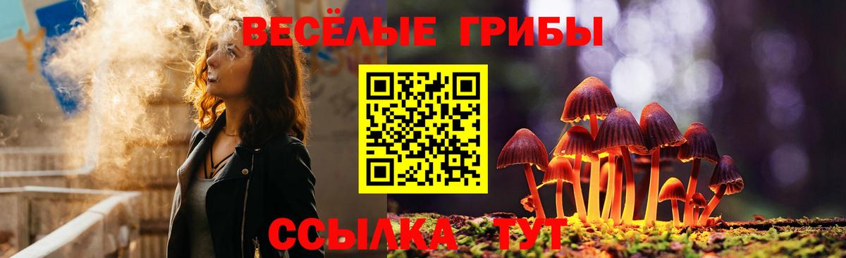 Галлюциногенные грибы GOLDEN TEACHER  Галлюциногенные грибы Psilocybe  Тайшет  купить наркотик  Вход с VPN 